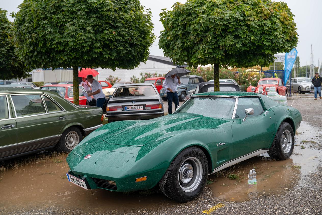 Stingray